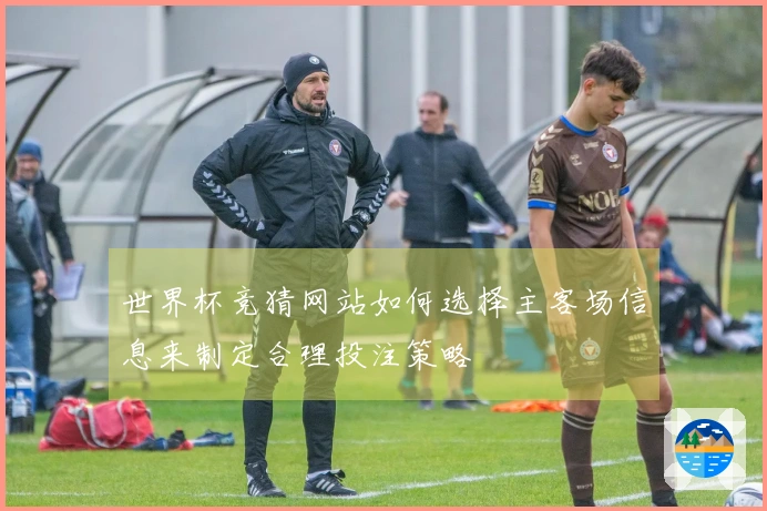世界杯竞猜网站如何选择主客场信息来制定合理投注策略