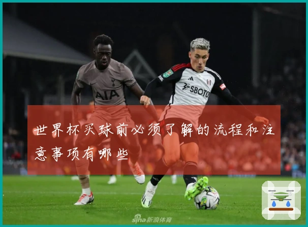 世界杯买球前必须了解的流程和注意事项有哪些